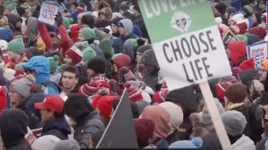 Screenshot-2024-01-19-190439