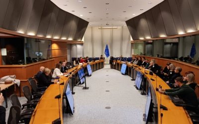 In the Name of the Family organised the DECIDE conference in the European Parliament