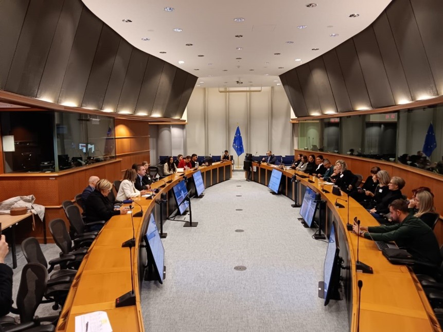 In the Name of the Family organised the DECIDE conference in the European Parliament